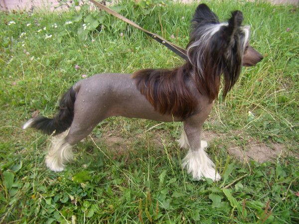 Melanies Rerity Naomi Campbell