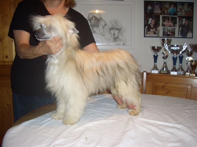 Quentin Fantasy Island