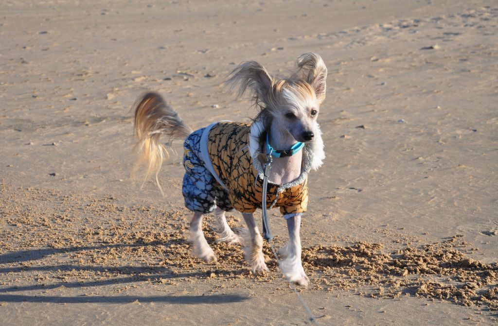 Gidaori Official Visit