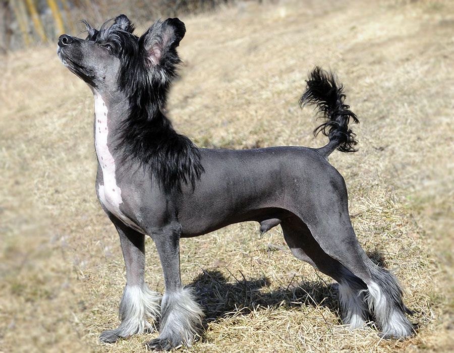 Sun-Hee's Lay Your Eyes On Me