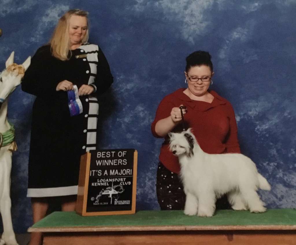 Edelweiss Red Light District