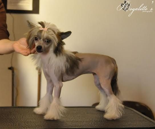 Amtietam's Extreme Makeover