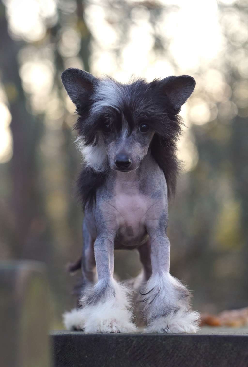 Fields Of Fame Heybett