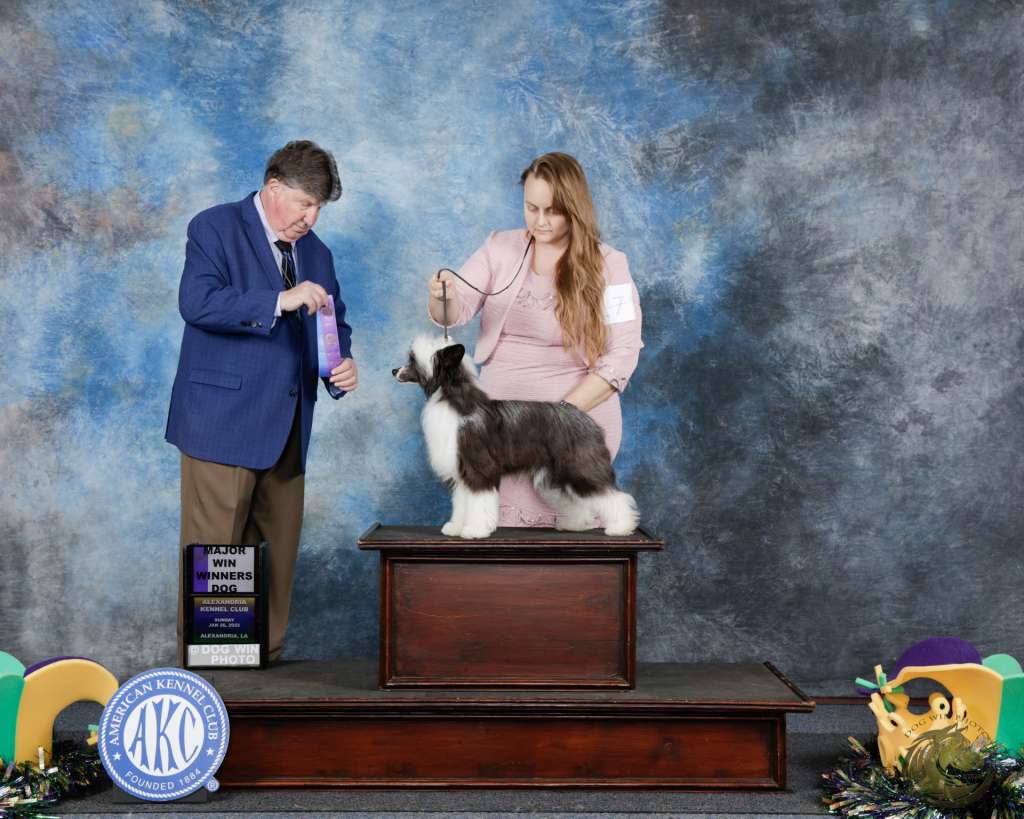 Lacshen's Bohemian Rhapsody