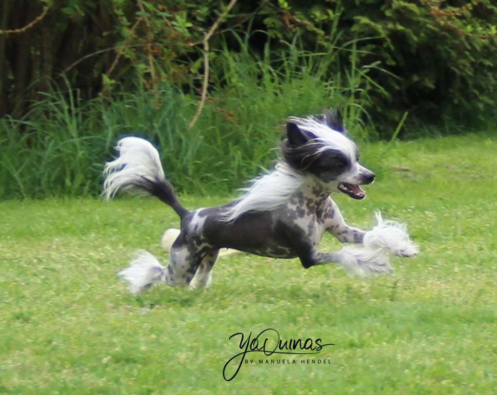 Step-By-Step Winning Smile