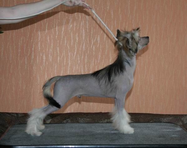 Alfa Laval Careerist