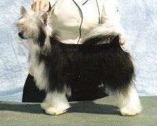 DeeKay's Uptown Design