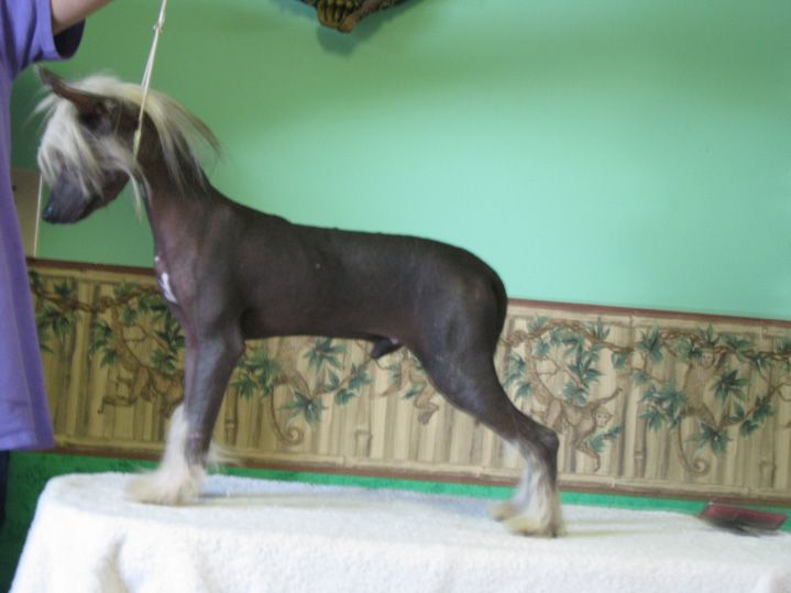 WhisperingLn' Look What I Can Do