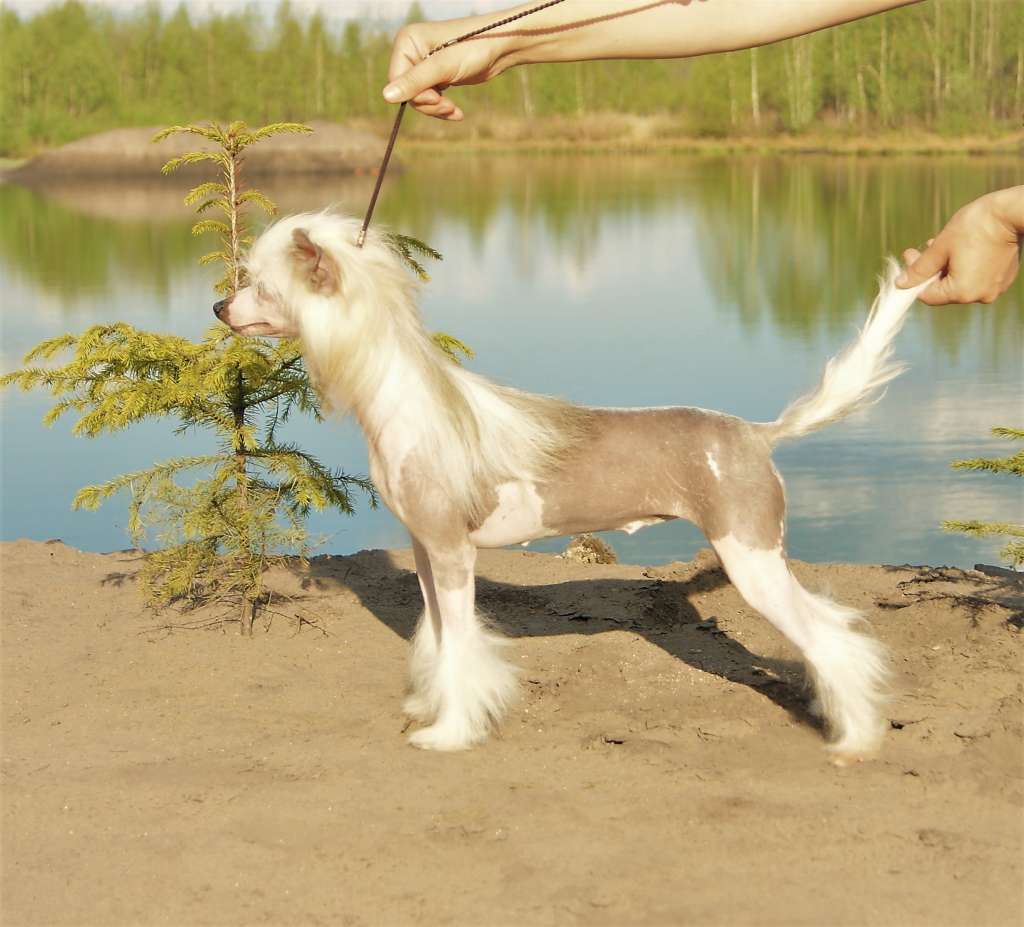 Miniatura Club Zabava