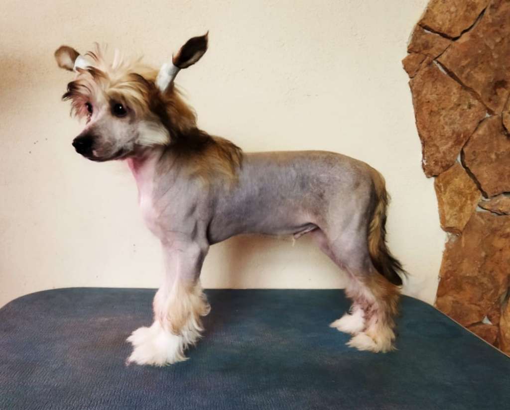 Mojito iz Chudnoy Doliny