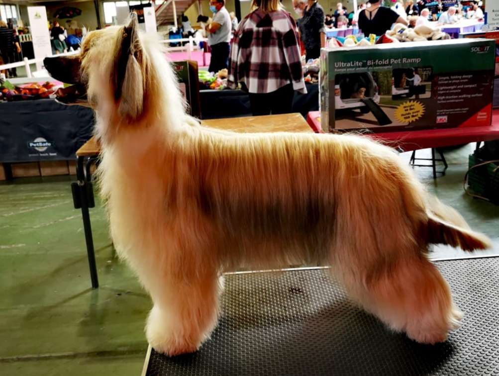 Magnus Staff El Dorado World Tour