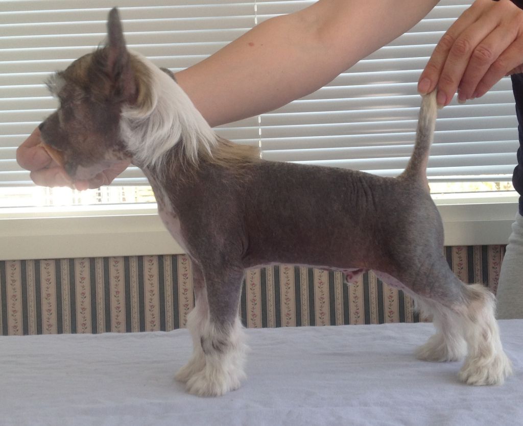 Mamres Average Ridge