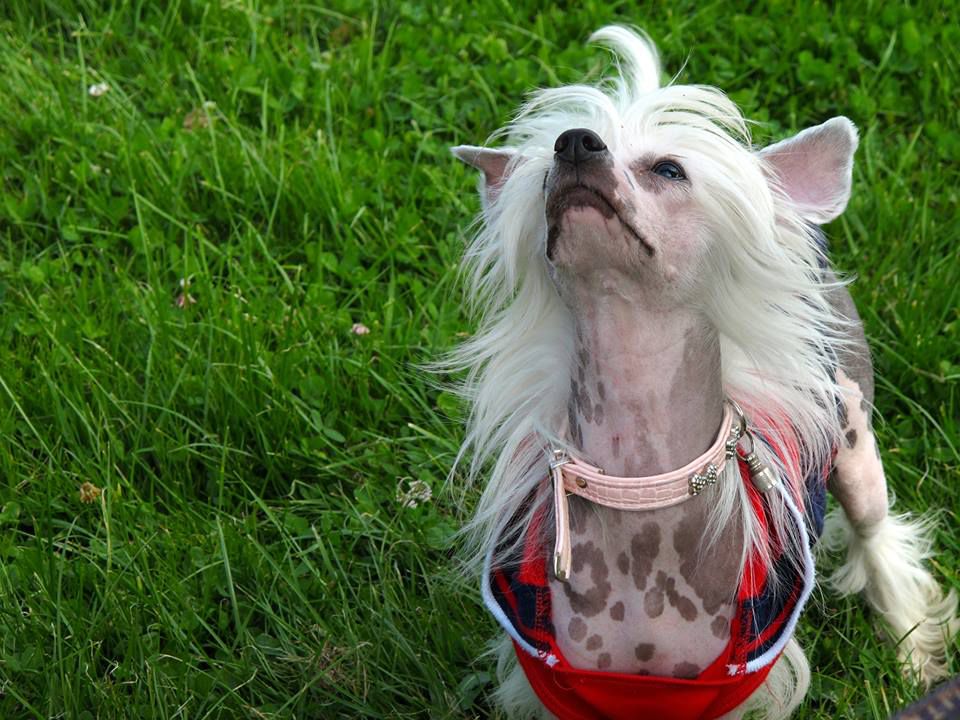 Xpected von Shinbashi