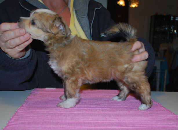 SandruS Dolcie Gabbana