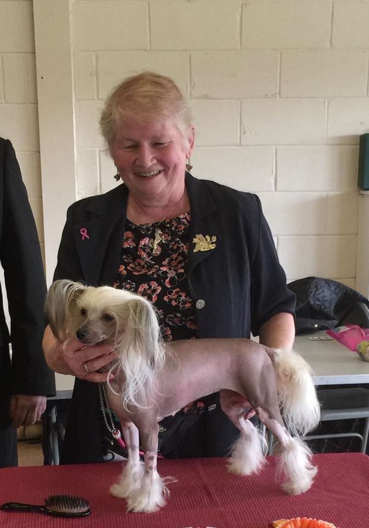 Jhanchi Let Me Entertain You J.W.