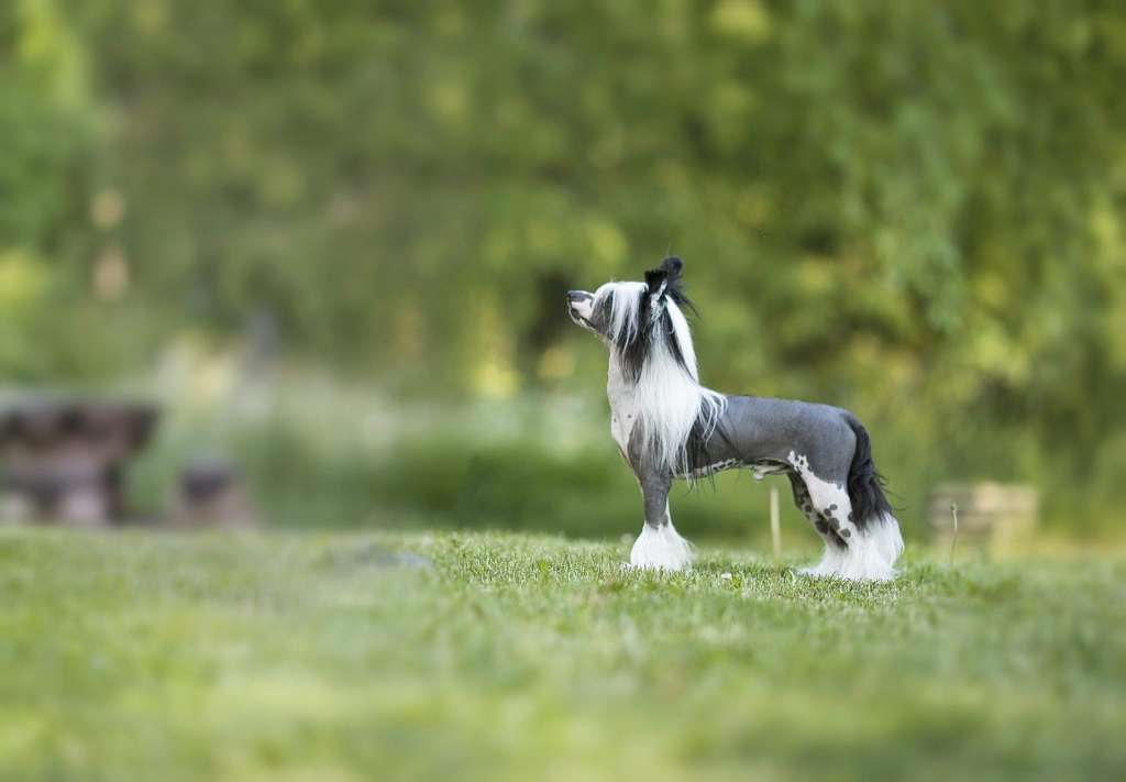 Viuvaun Get Off My Cloud