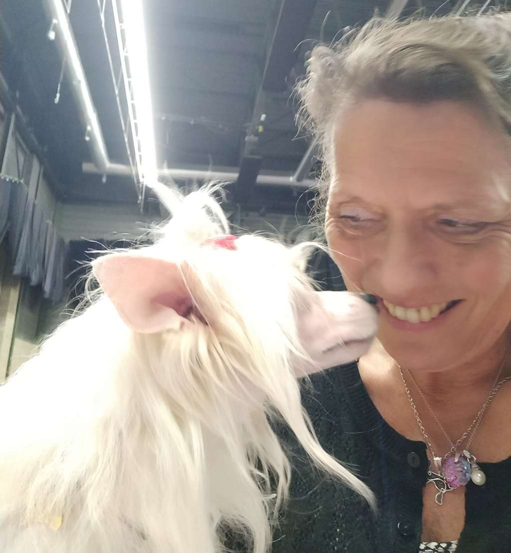 Hot Shot von Shinbashi