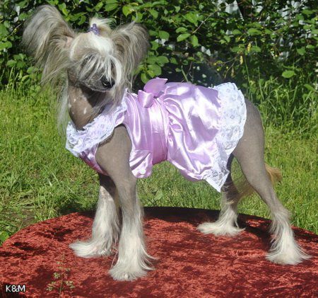 Credo Marini Kasy Drope of Love