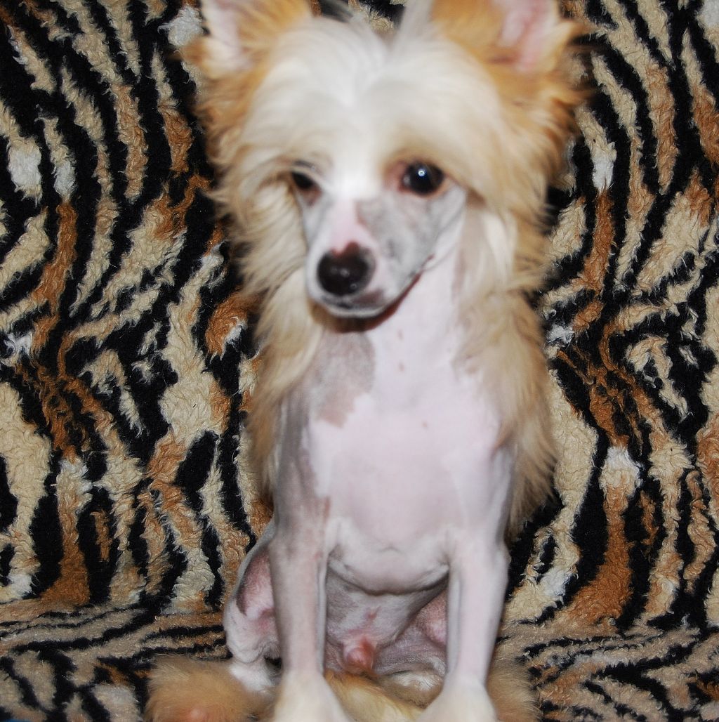 Picadilly Circus de  Bullack