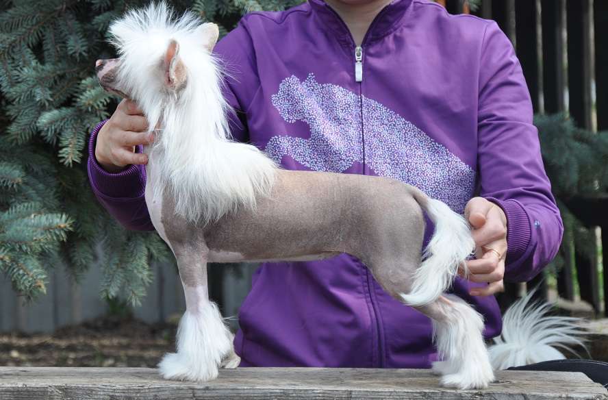 Kamasutra Winning Smile