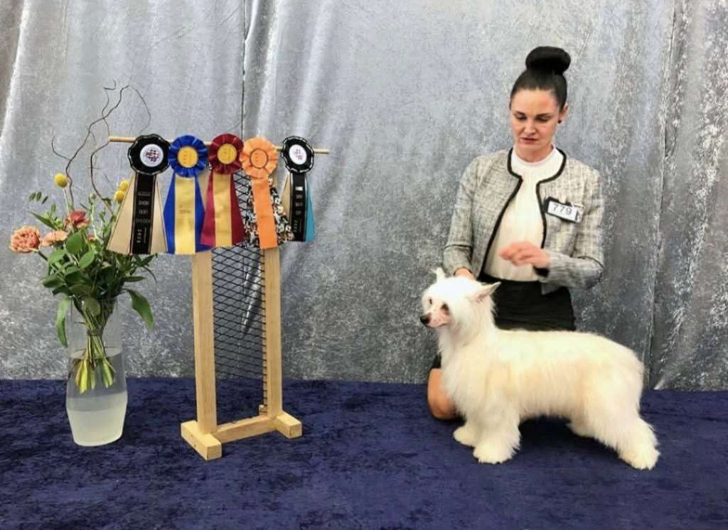 Sirocco Imperfectly Perfect