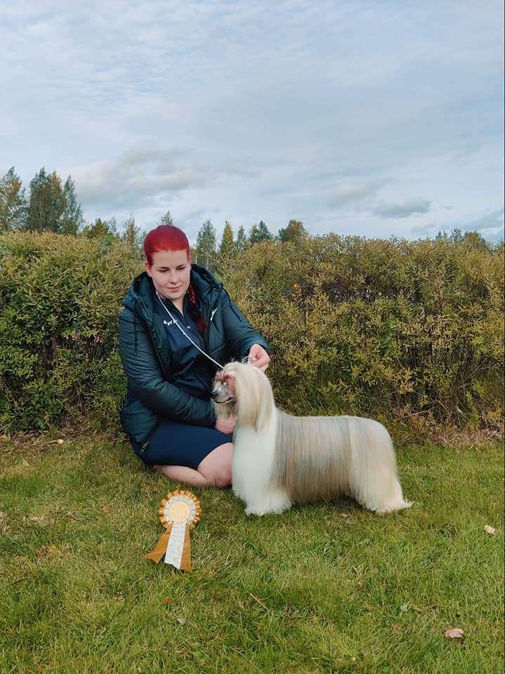 Pinky Twinky Pajunkissa