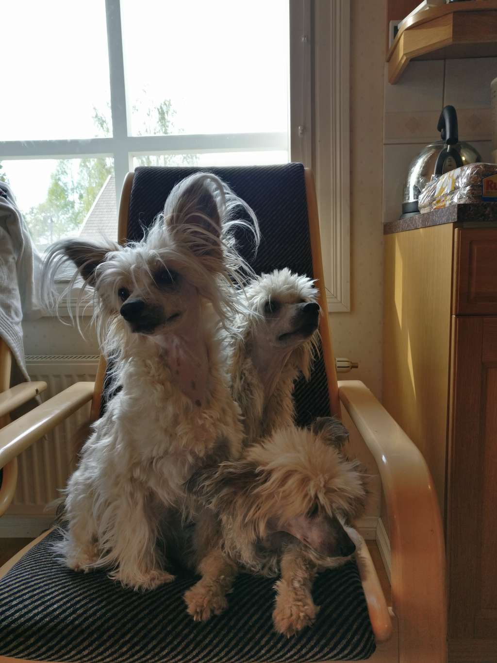 Chattanooga's Tää On Se Hetki