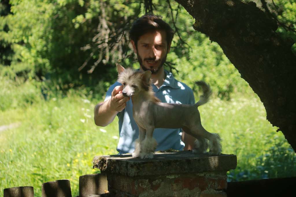 Powtorka Next Germanika