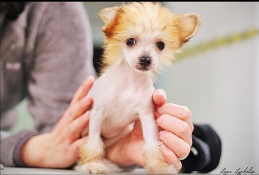 Spirit Of Mantra's Godis E Gott