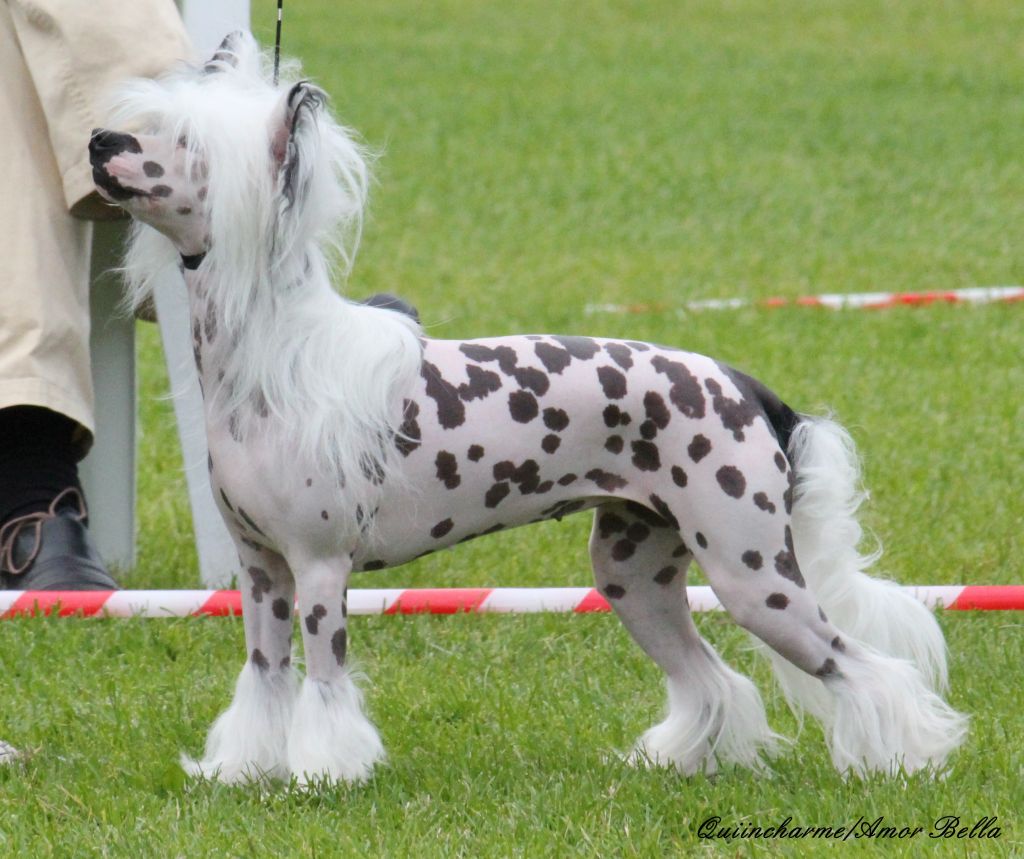 Sun-Hee's Can't Get Enough