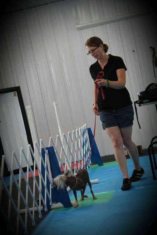 Twice As Nice Canned Heat