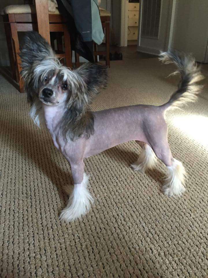 Klearly Gonna Be Hard to Stop