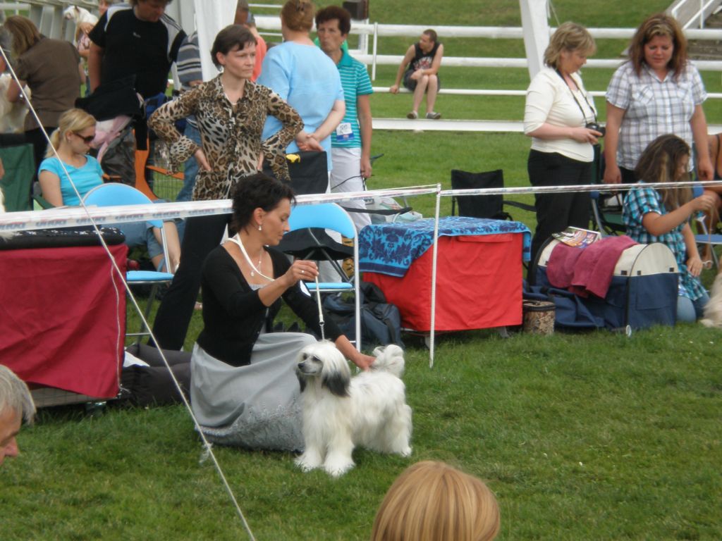 Amazing Oliver Santa la Vida