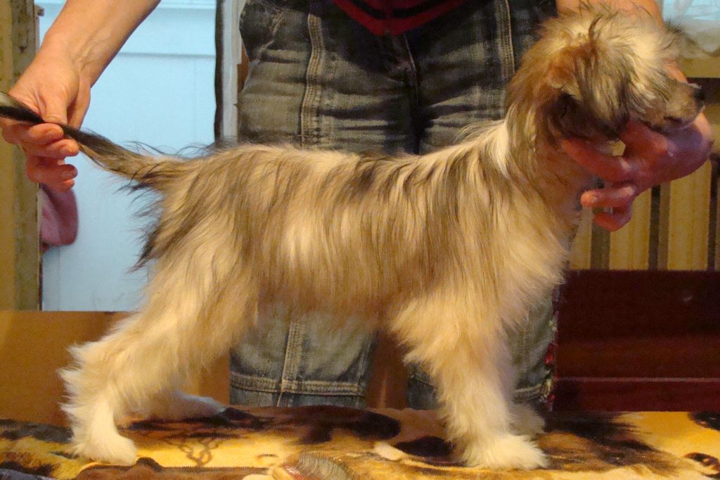 Kristal Yaniry  Estera