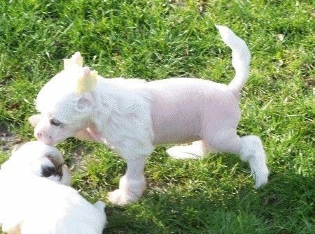 Hazel from Angels Fundation