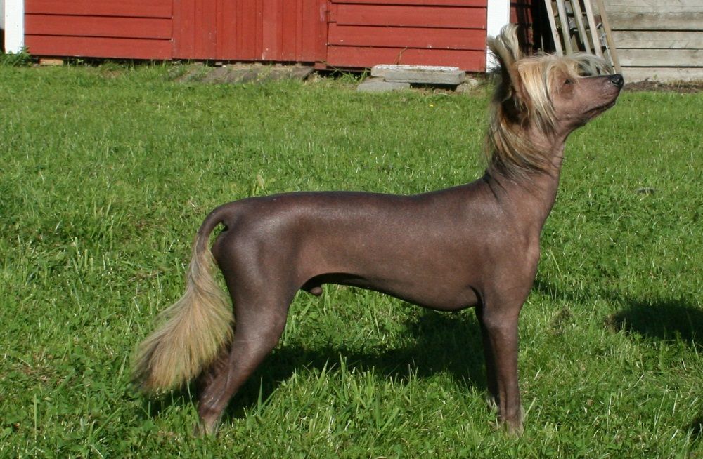 Tournais First Aid Kit