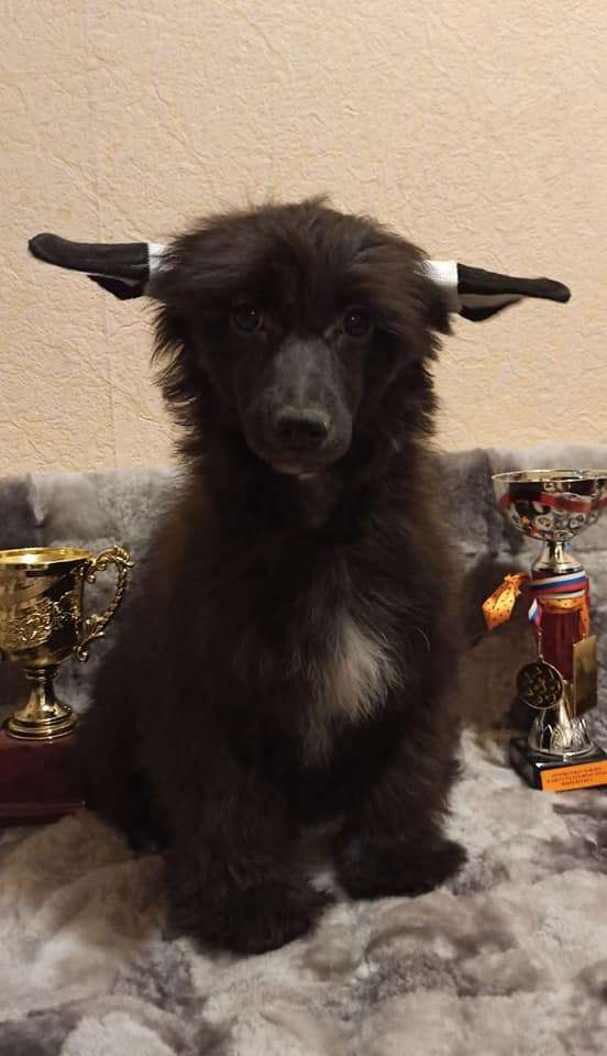 Family Mar'S Nikolya