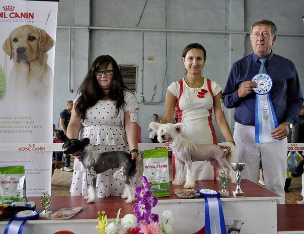 Grand Sunlife Saint-Remy a la Creme