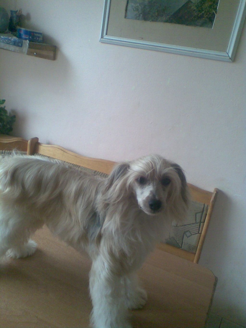 Andreas Kid Luramion