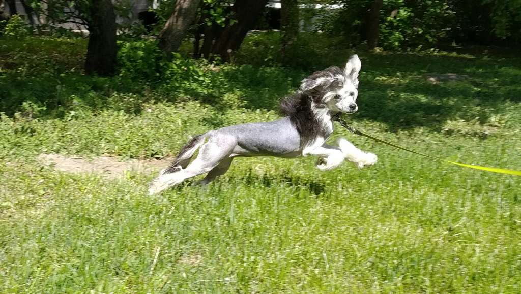 Bright Sun Iz Chudnoy Doliny