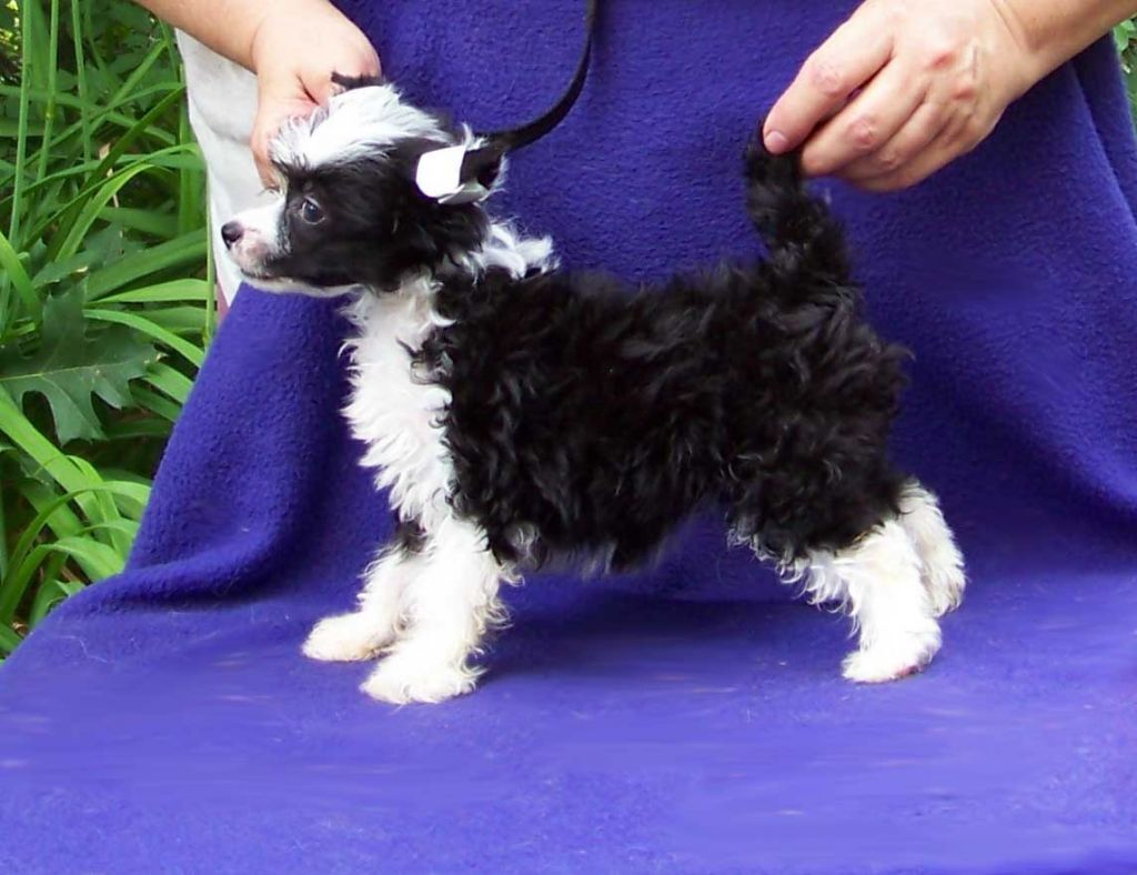 Spiritual I Gotta Be Me