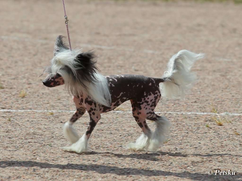 Zodellin Heaven Only Knows