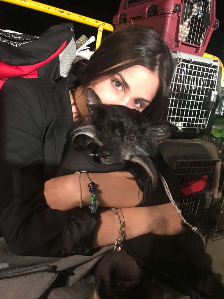 Amazing Molosos Gratzi