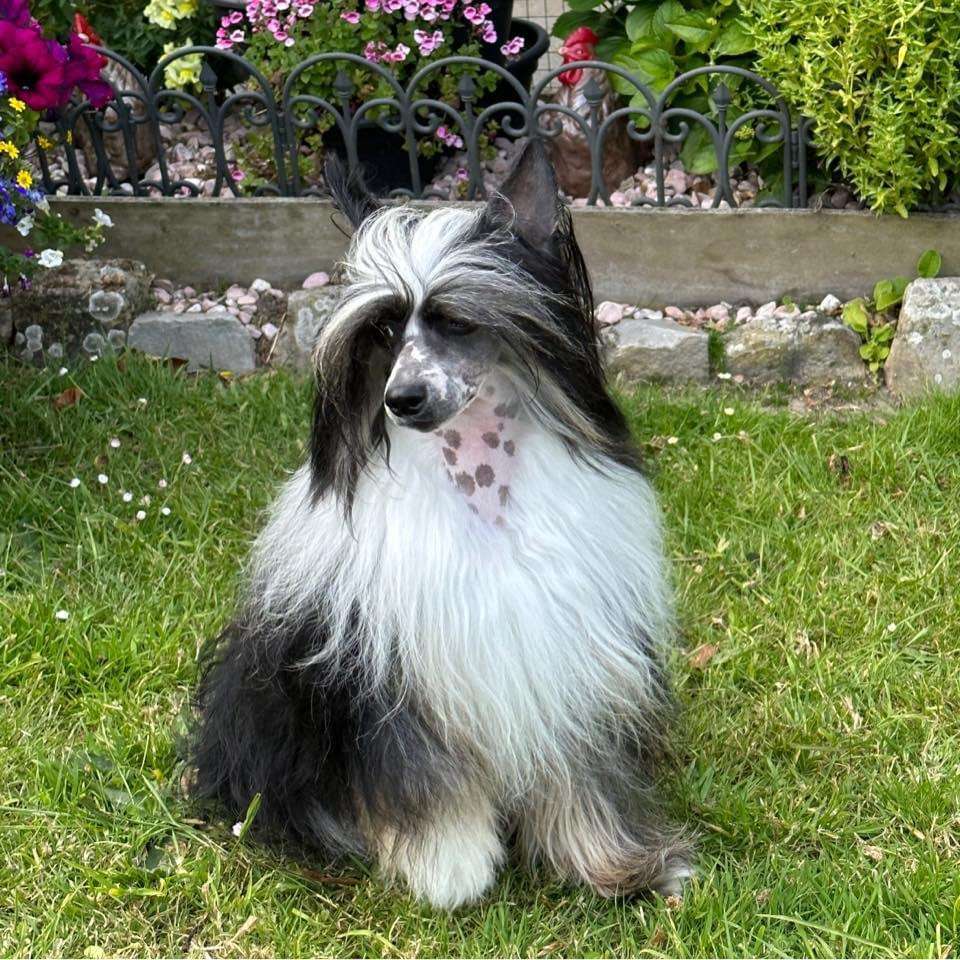 Rhum Kobler Little Champs