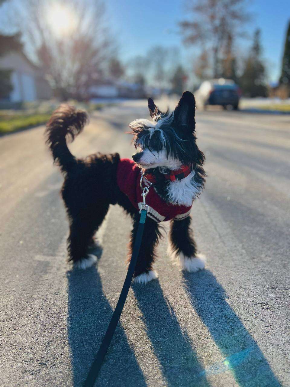 Taja I've Got An Ink-Ling