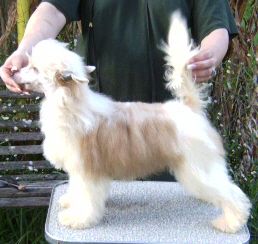 Kalan Earlylite Grand Illusion