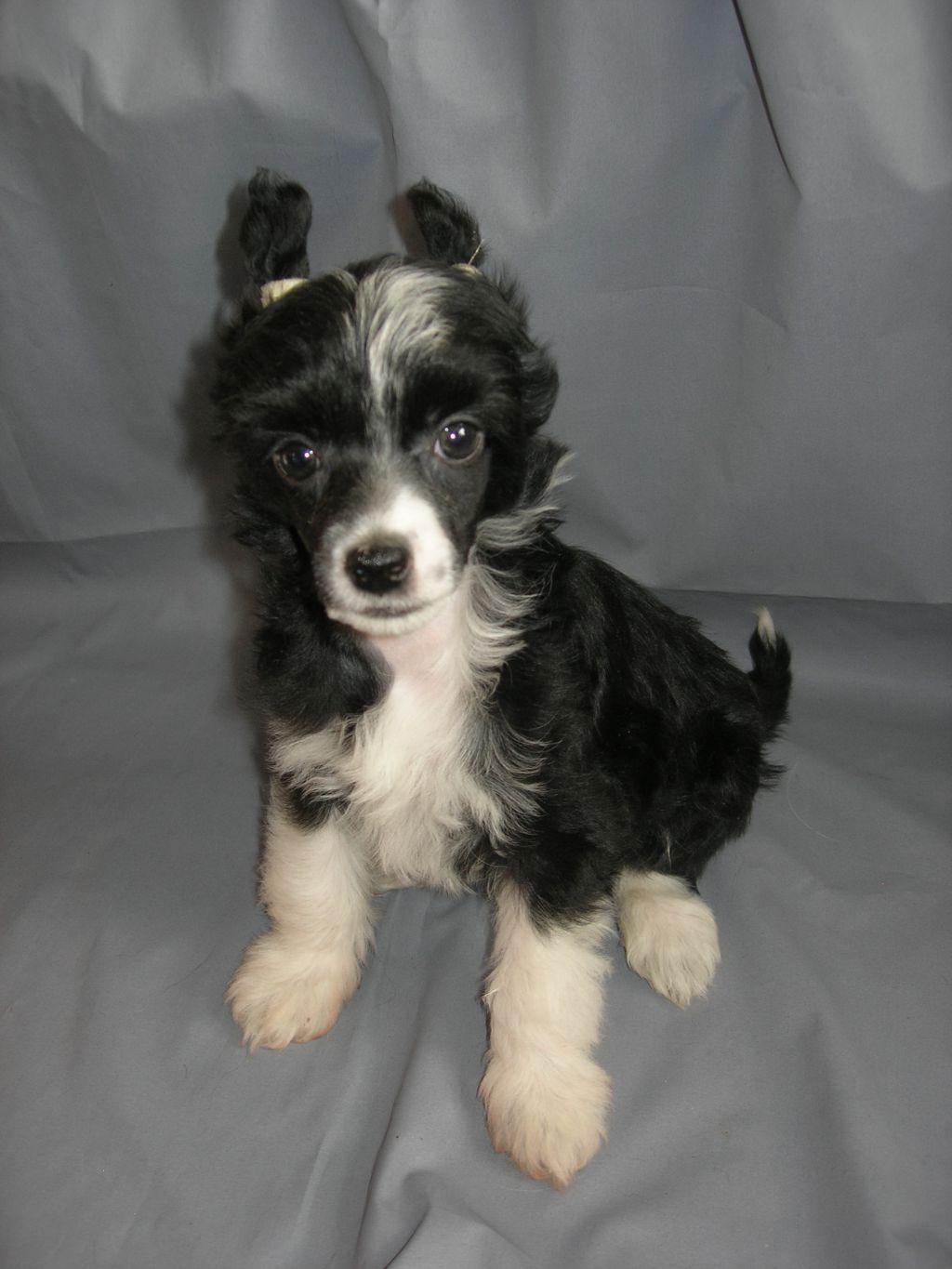 Rovanni Djekattolo Jizel