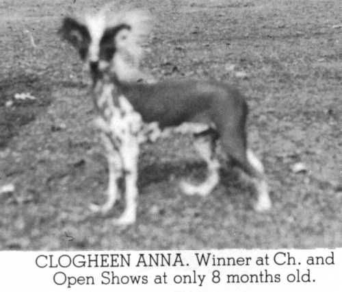 Clogheen Anna