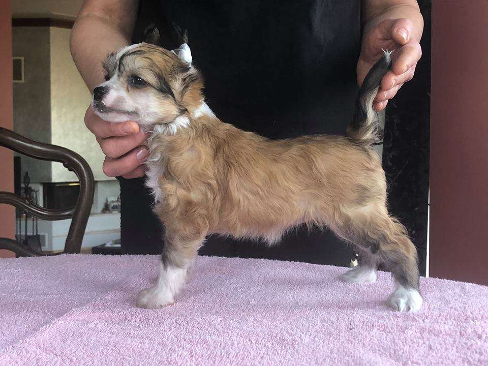 Kornela Take Me Away