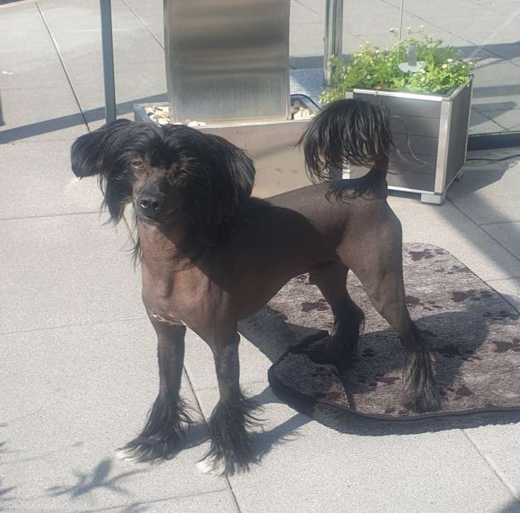 Believe in Magic Minodora